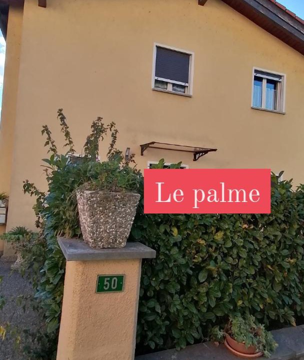 Photo of Others in Monteceneri