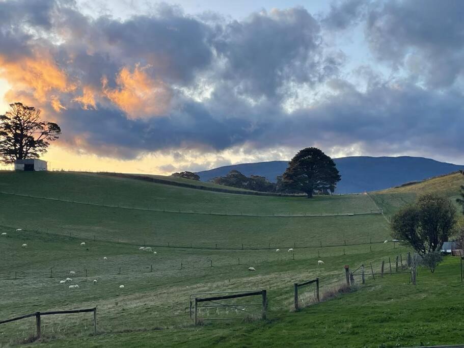 Photo of Others in Erica