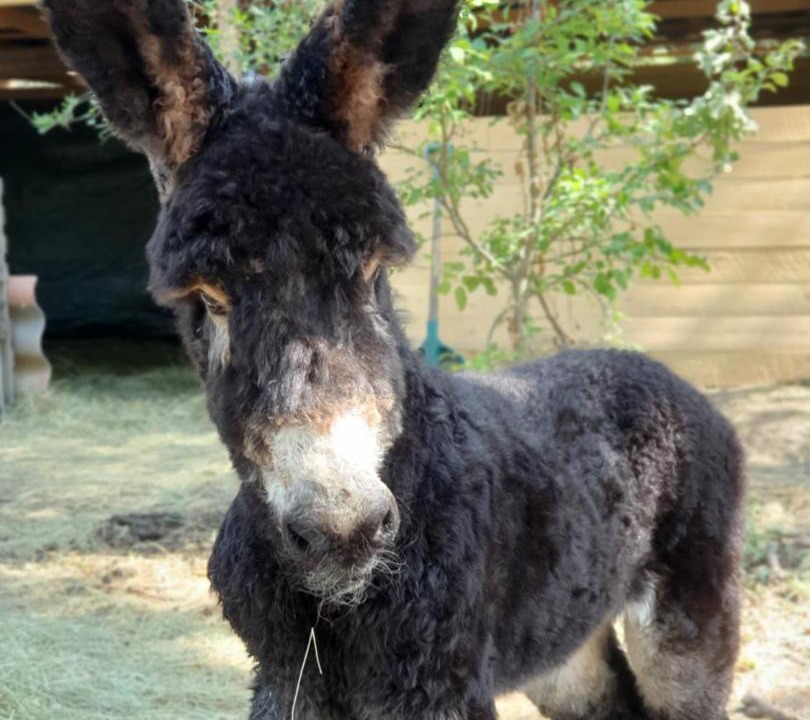 Photo of Others in Pont-de-Barret