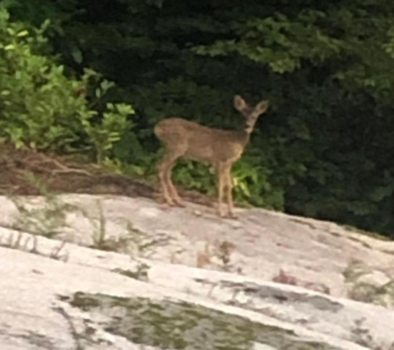 Photo of Others in Huelgoat