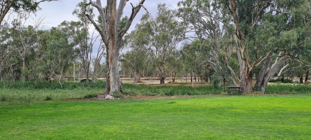 Photo of Others in Paringa