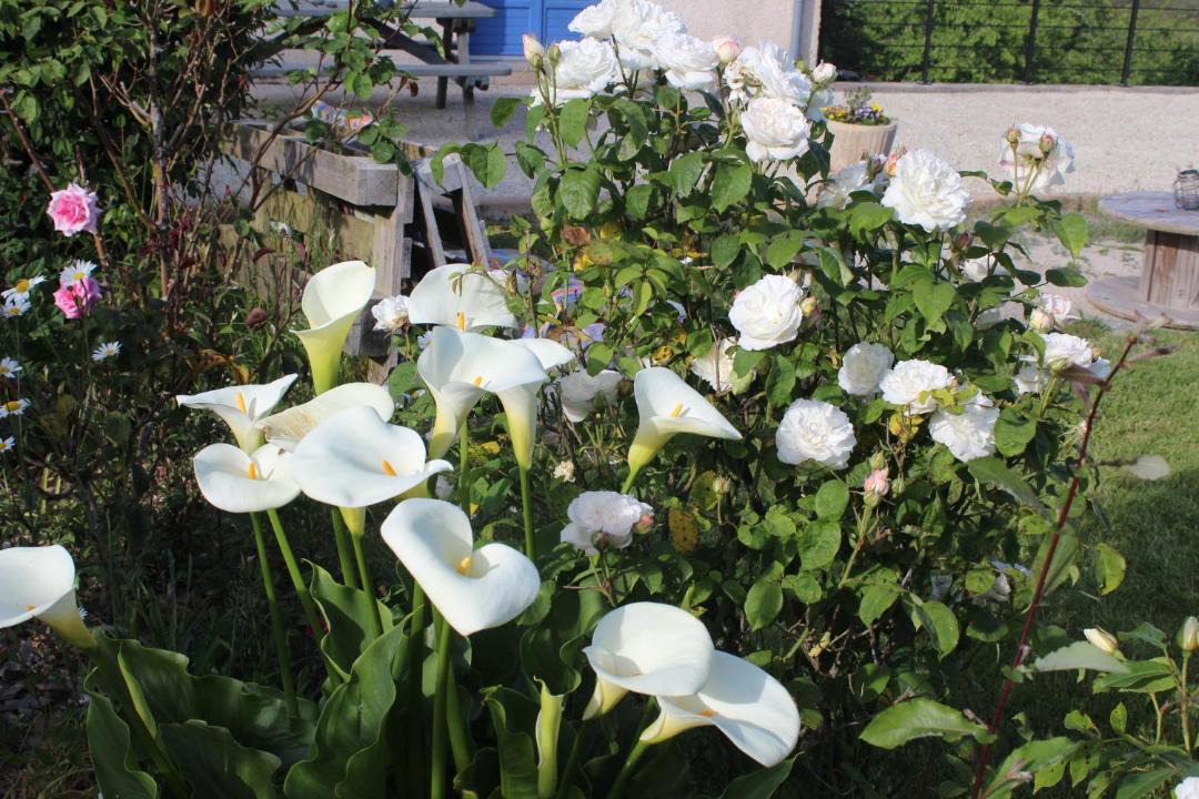 Photo of Others in Gesvres