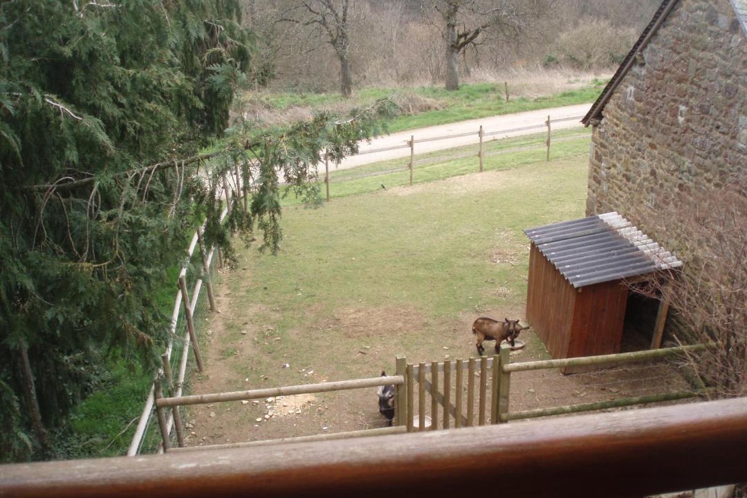 Photo of Others in Couesmes-Vauce