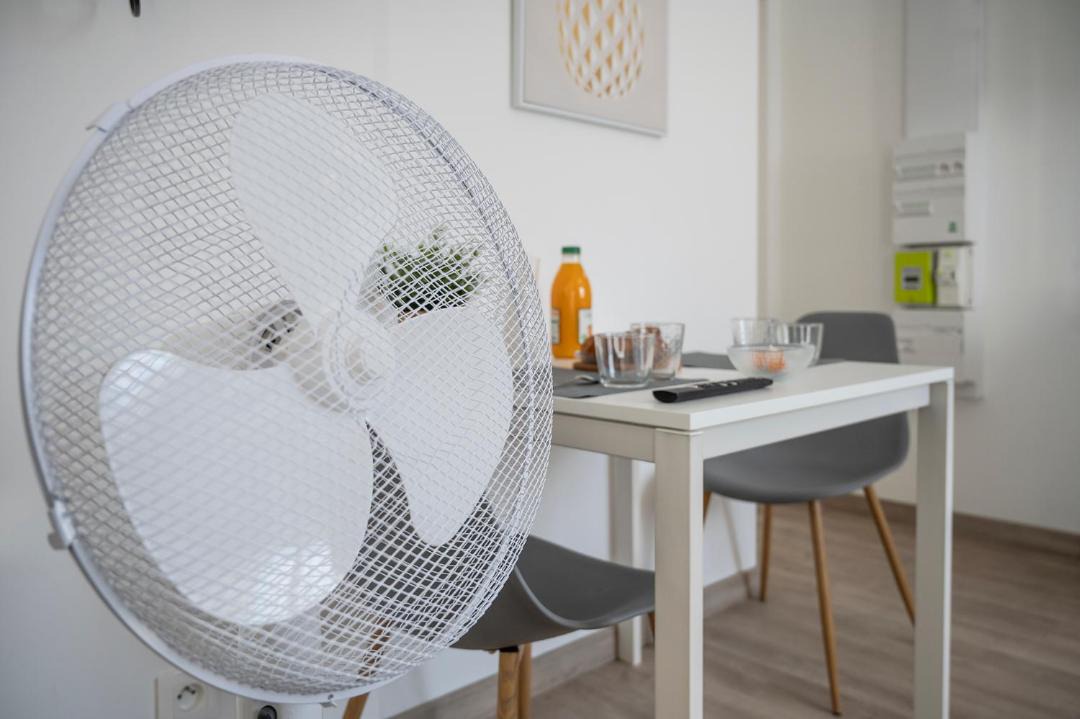 Photo of Others in Tours