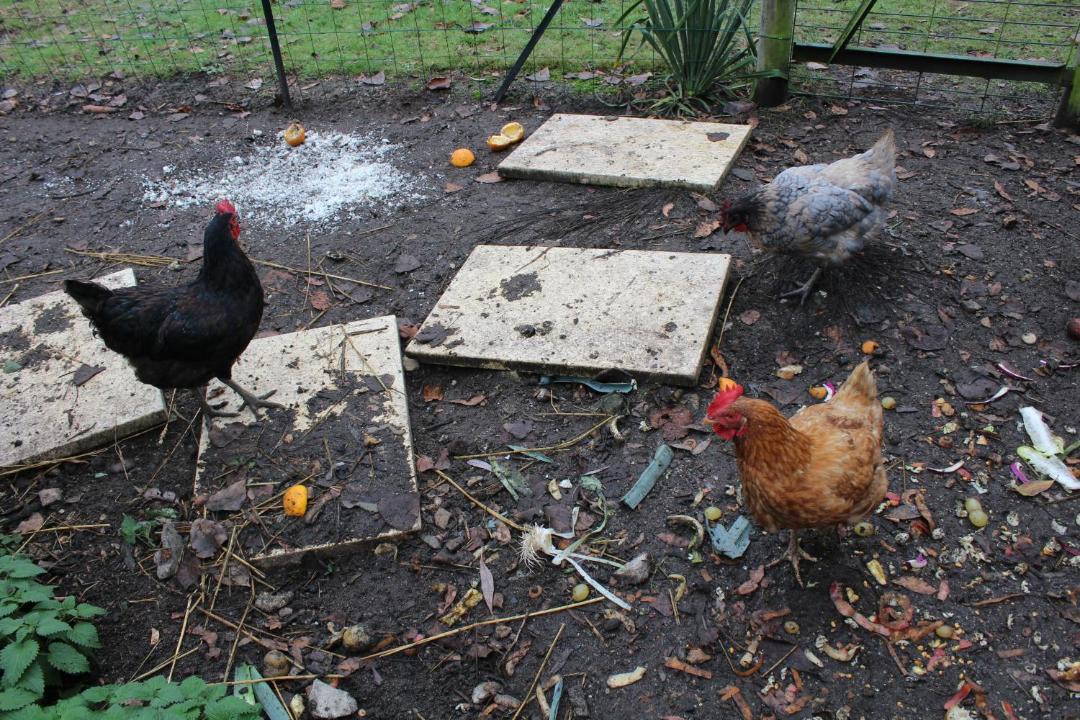 Photo of Patio Balcony in Brinon-sur-Sauldre