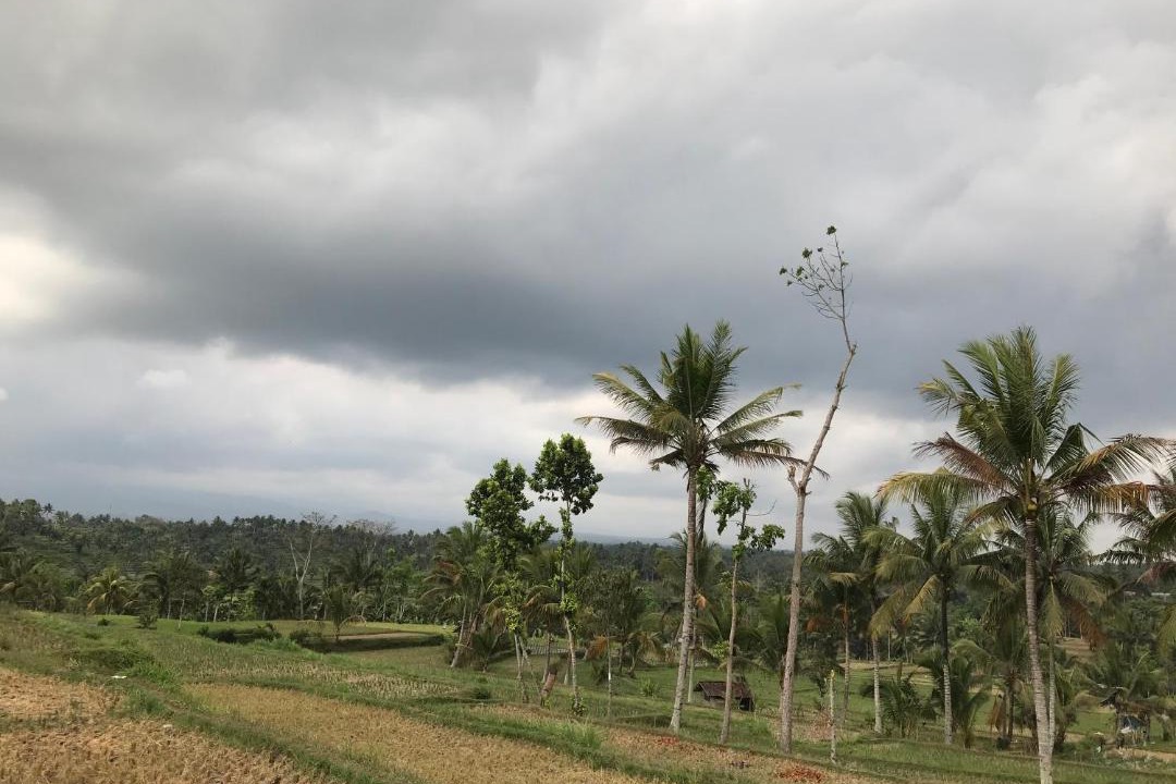 Photo of Outdoor in Kecamatan Montong Gading
