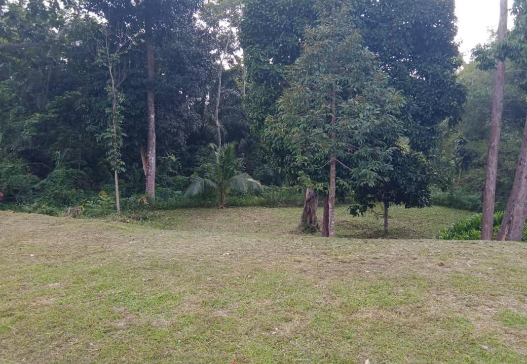 Photo of Others in Tampin