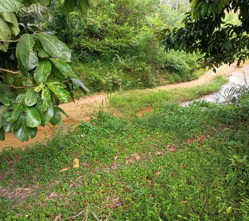 Photo of Others in Tampin