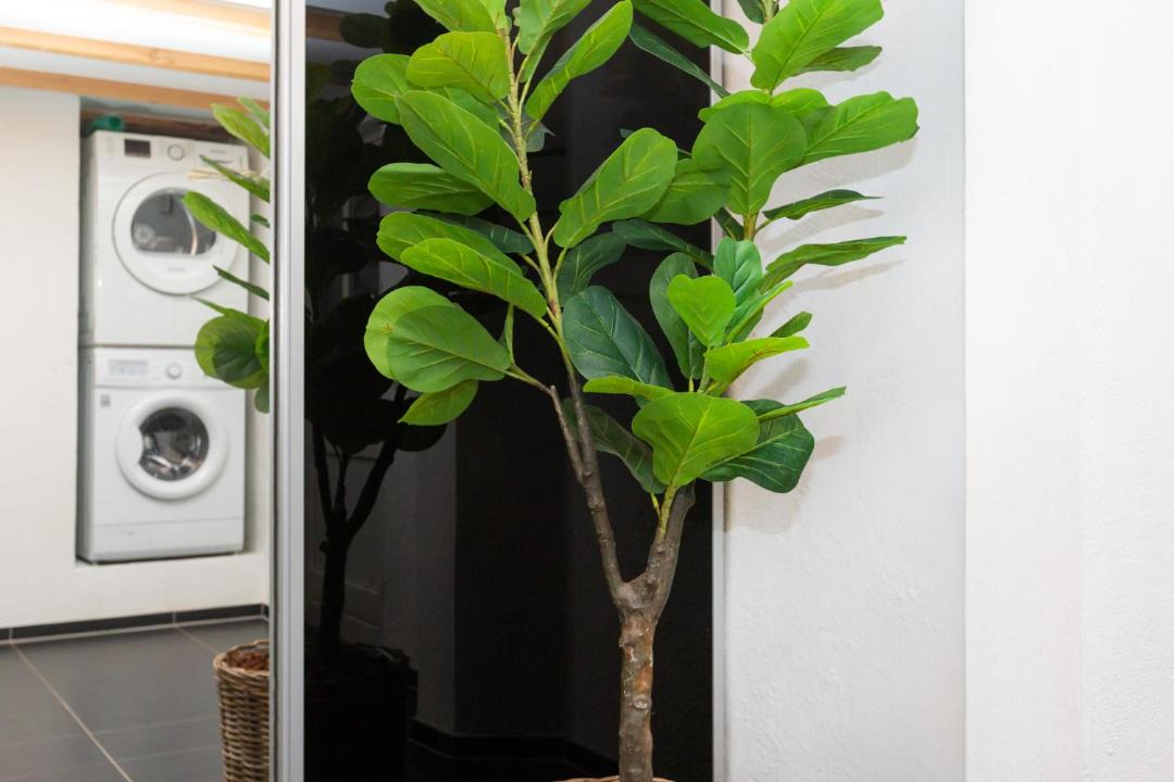 Photo of Others in Aarhus Municipality