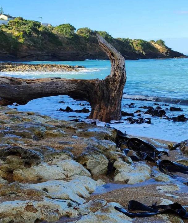 Photo of Outdoor in Kakanui