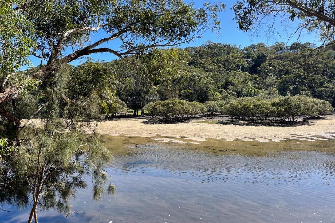 Photo of Others in Grays Point