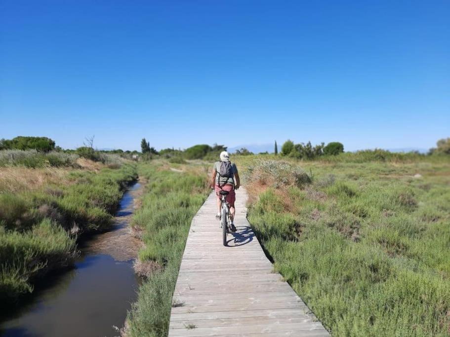 Photo of Outdoor in Saint-Hippolyte