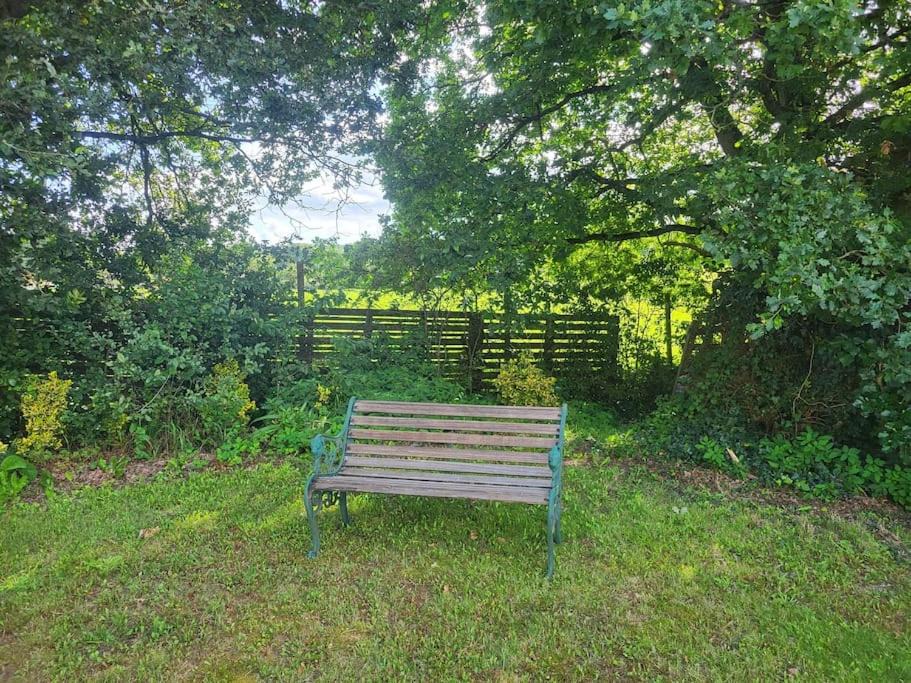 Photo of Others in New Forest District