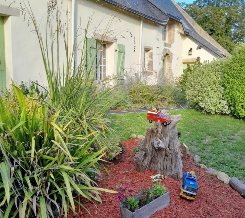 Photo of Others in Ambon