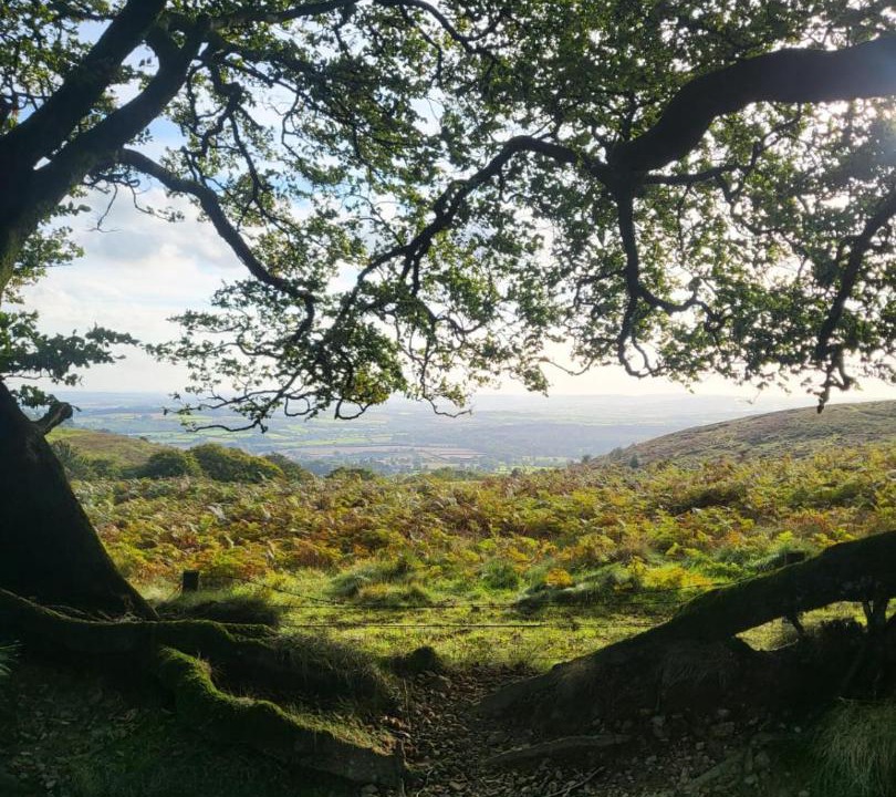 Photo of Others in Fiddington