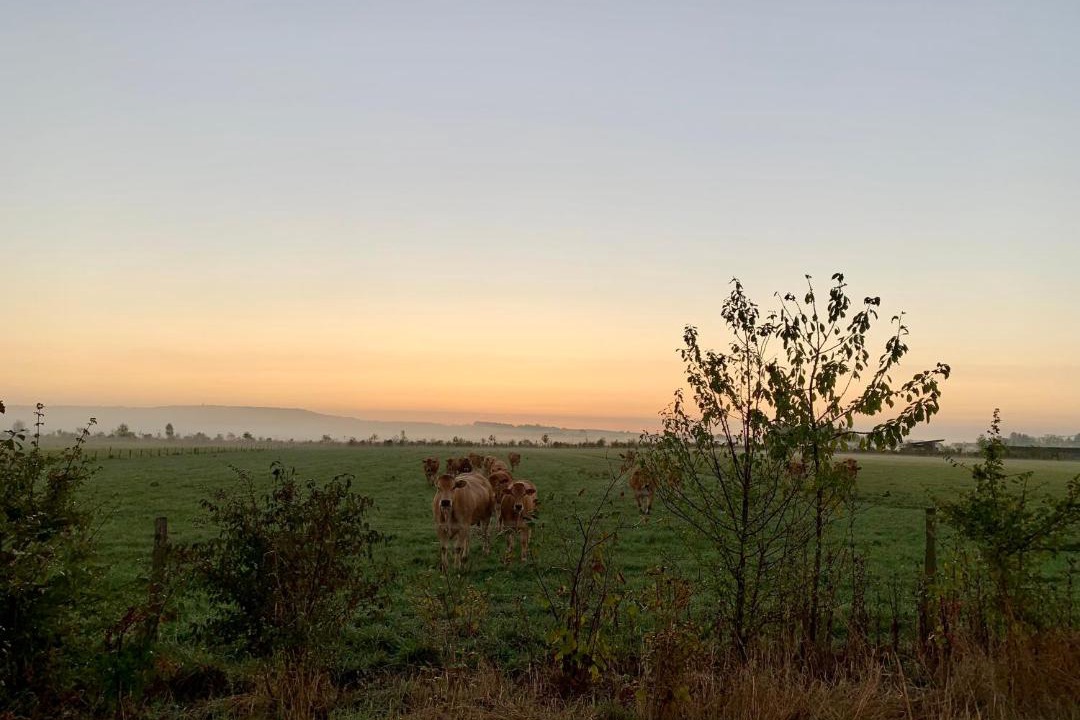 Photo of Others in Parcay-sur-Vienne