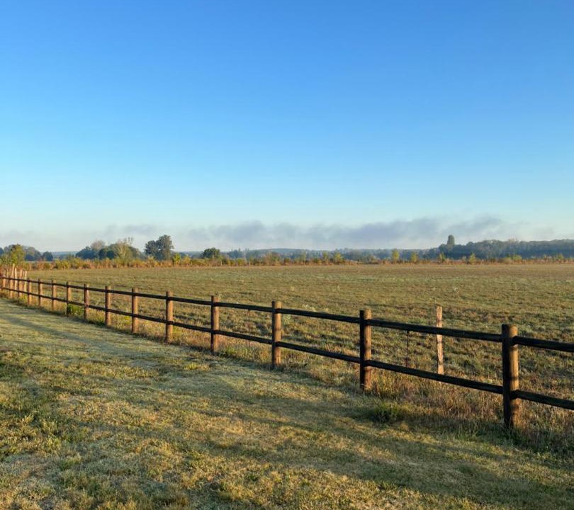 Photo of Others in Parcay-sur-Vienne