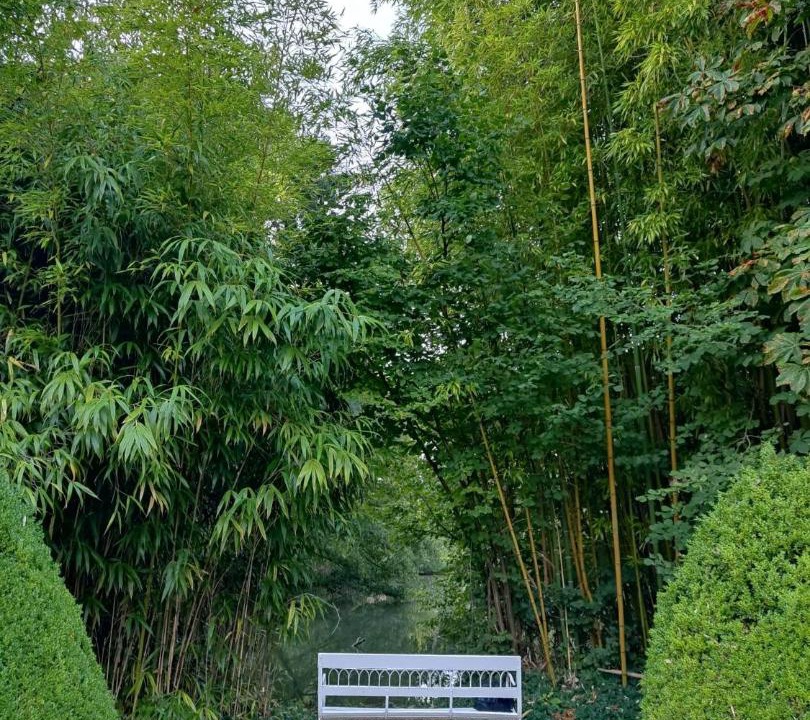 Photo of Others in Montcresson