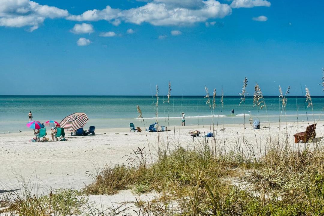 Photo of Others in Indian Rocks Beach