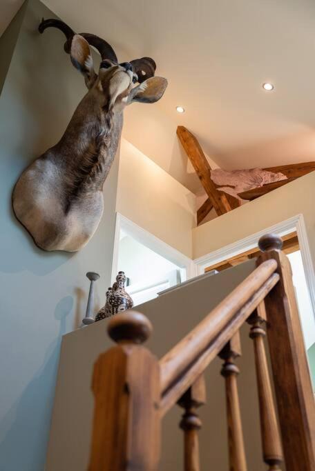 Photo of Others in Cœur de Ville