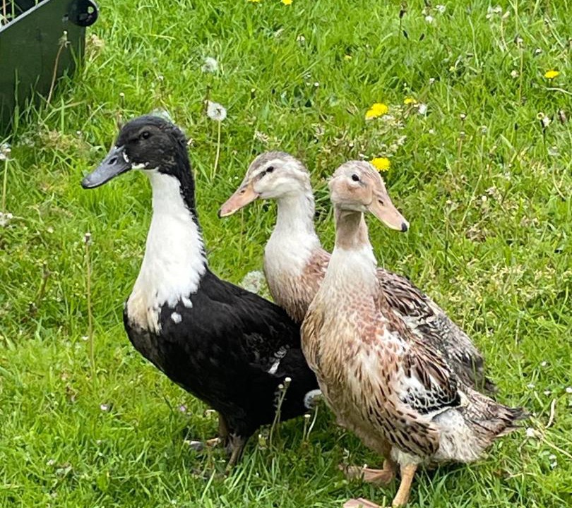 Photo of Others in Formby