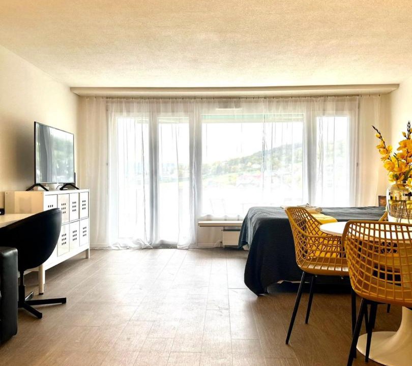 Photo of Livingroom in Dietikon District
