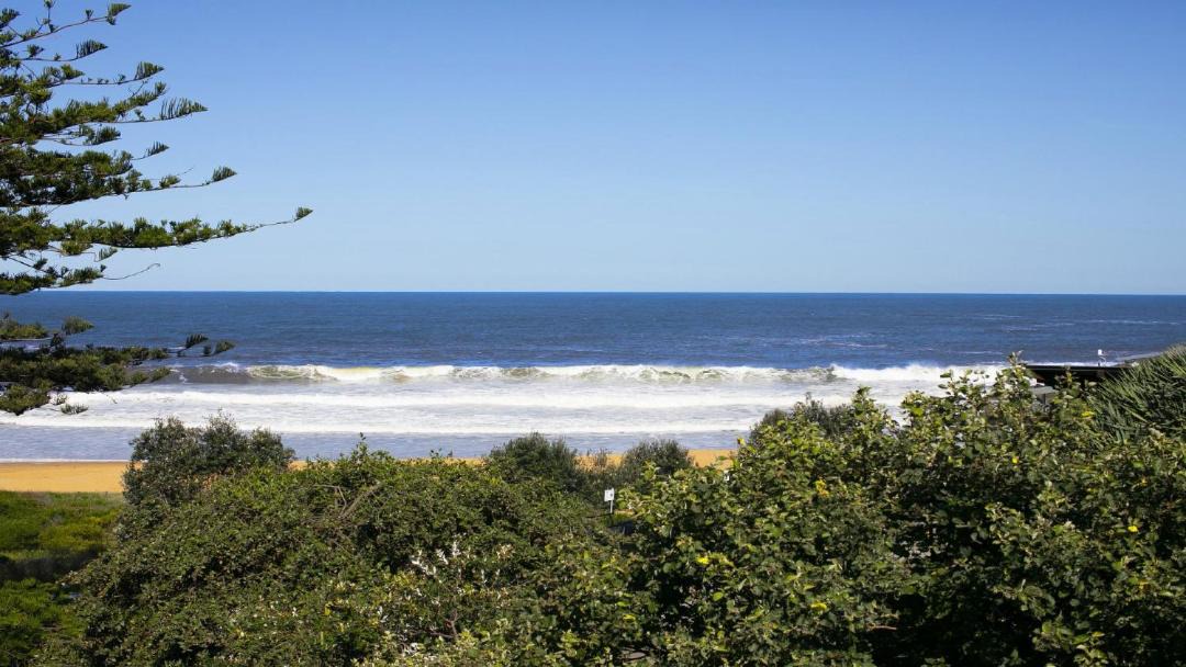 Photo of Outdoor in Killcare