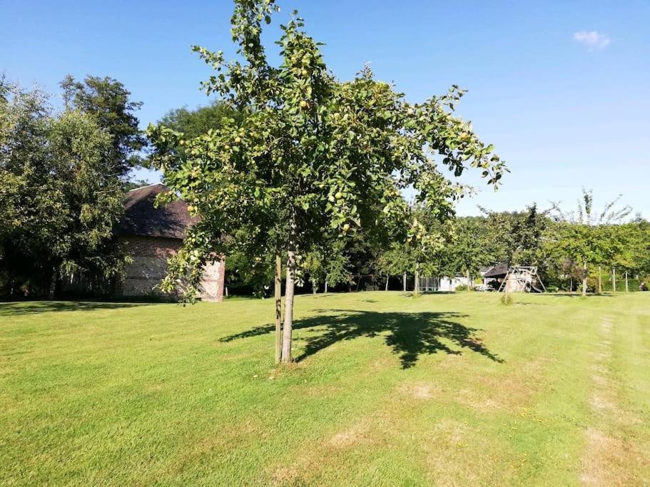 Photo of Others in Le Mesnil-sur-Blangy