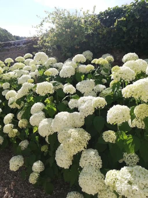Photo of Patio Balcony in Le Mesnil-sur-Blangy