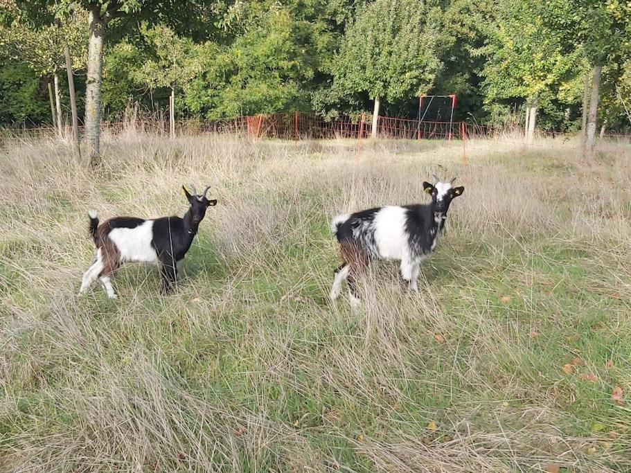 Photo of Others in Le Mesnil-sur-Blangy