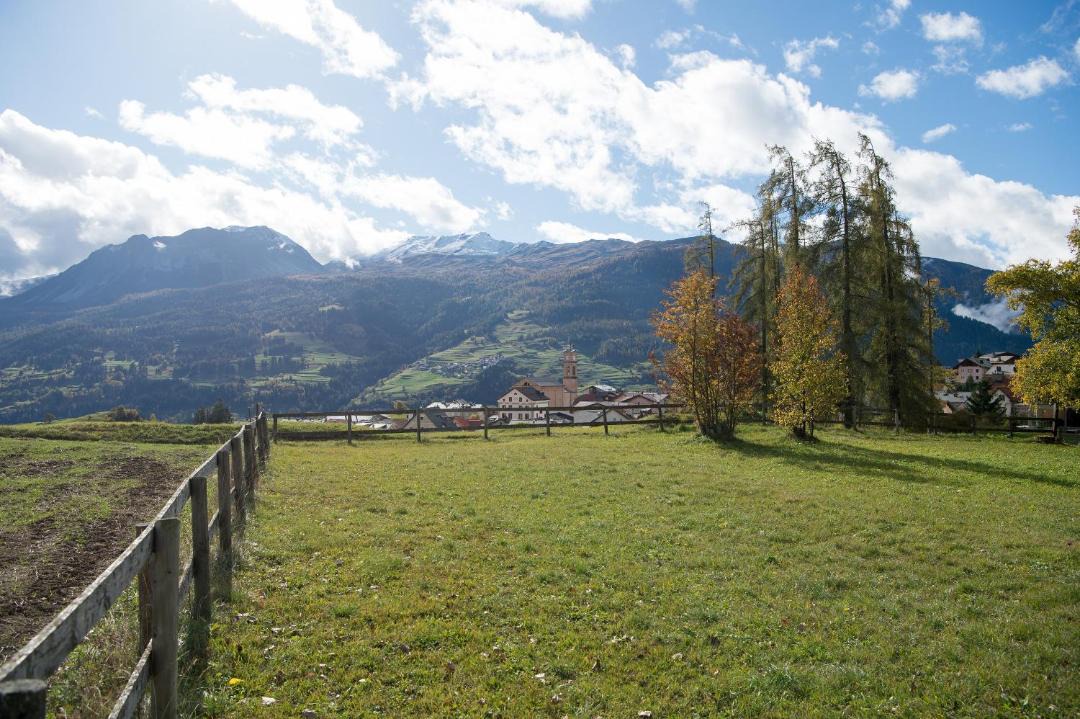 Photo of Others in Lenz