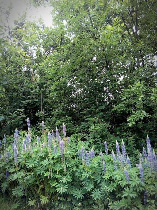 Photo of Outdoor in Gueutteville-les-Gres