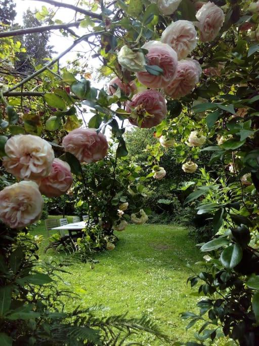 Photo of Others in Gueutteville-les-Gres