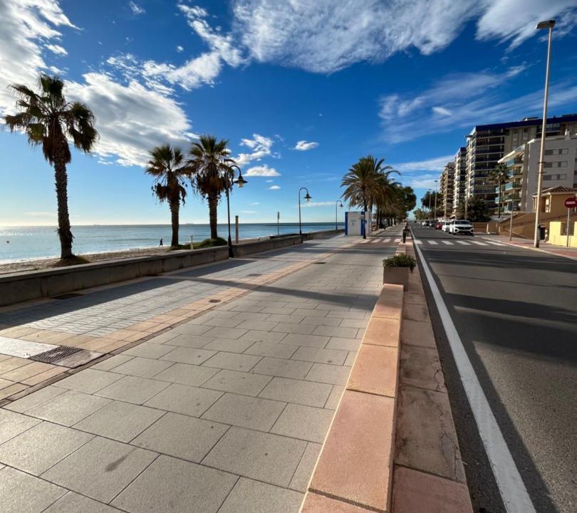 Photo of Others in Benicassim