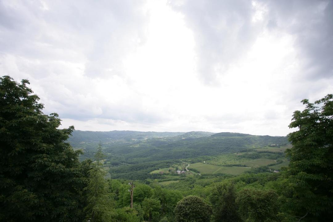 Photo of Others in Motovun