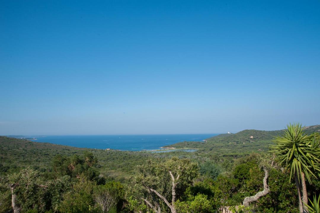 Photo of Others in Porto-Vecchio