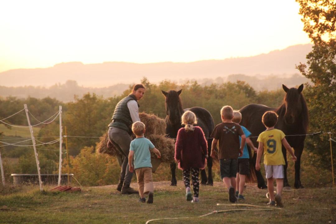 Photo of Human In Picture in Gaudies