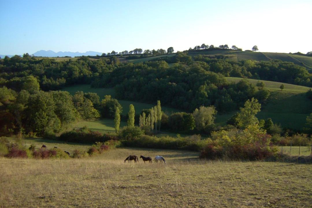 Photo of Outdoor in Gaudies