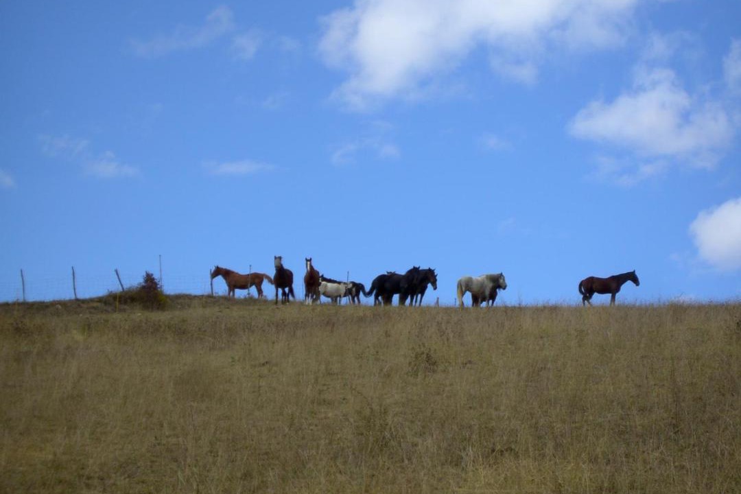 Photo of Others in Gaudies