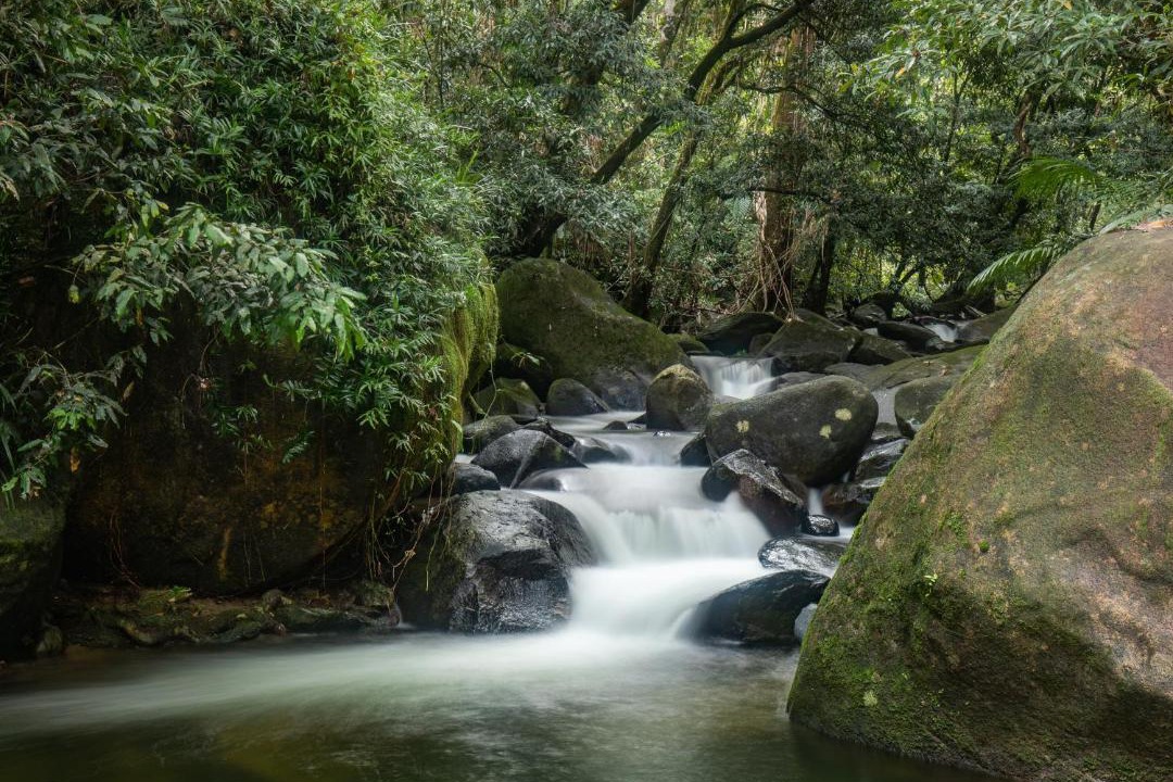 Photo of Others in Diwan