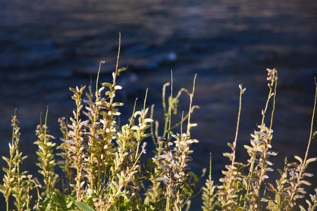 Photo of Others in Winthrop