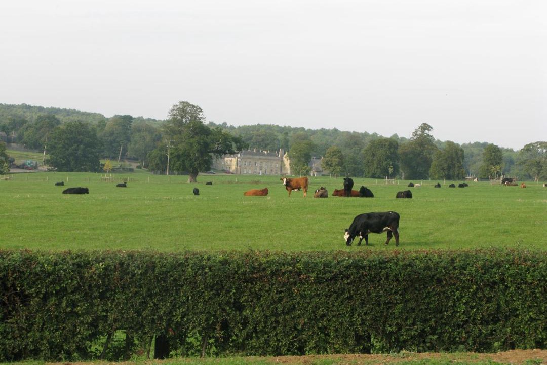 Photo of Others in Castle Bytham