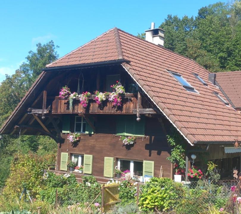 Photo of Buildings in Diessbach