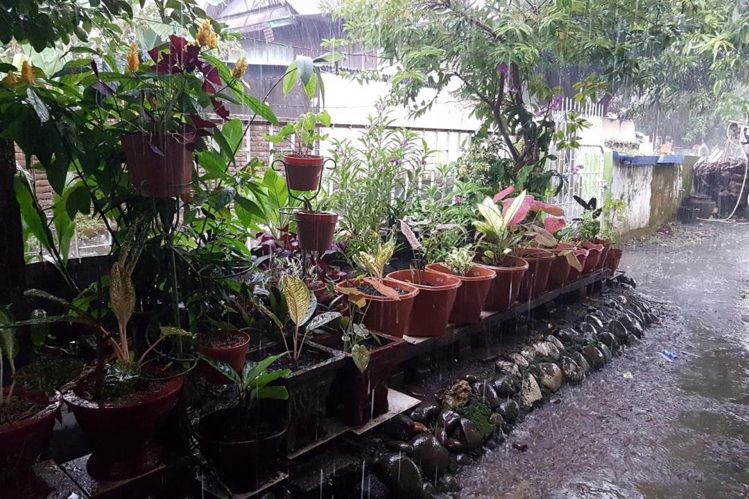 Photo of Others in Makassar