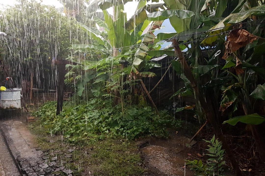 Photo of Others in Makassar