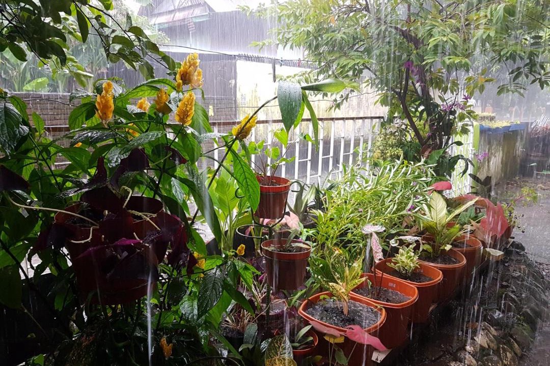 Photo of Others in Makassar