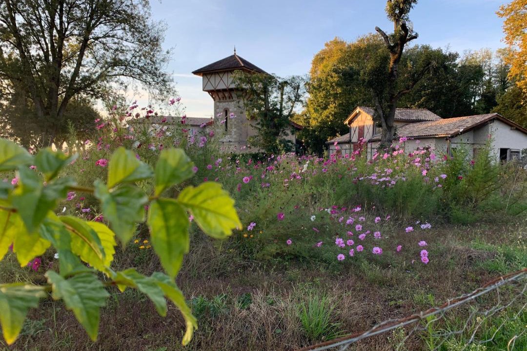 Photo of Others in Marmande