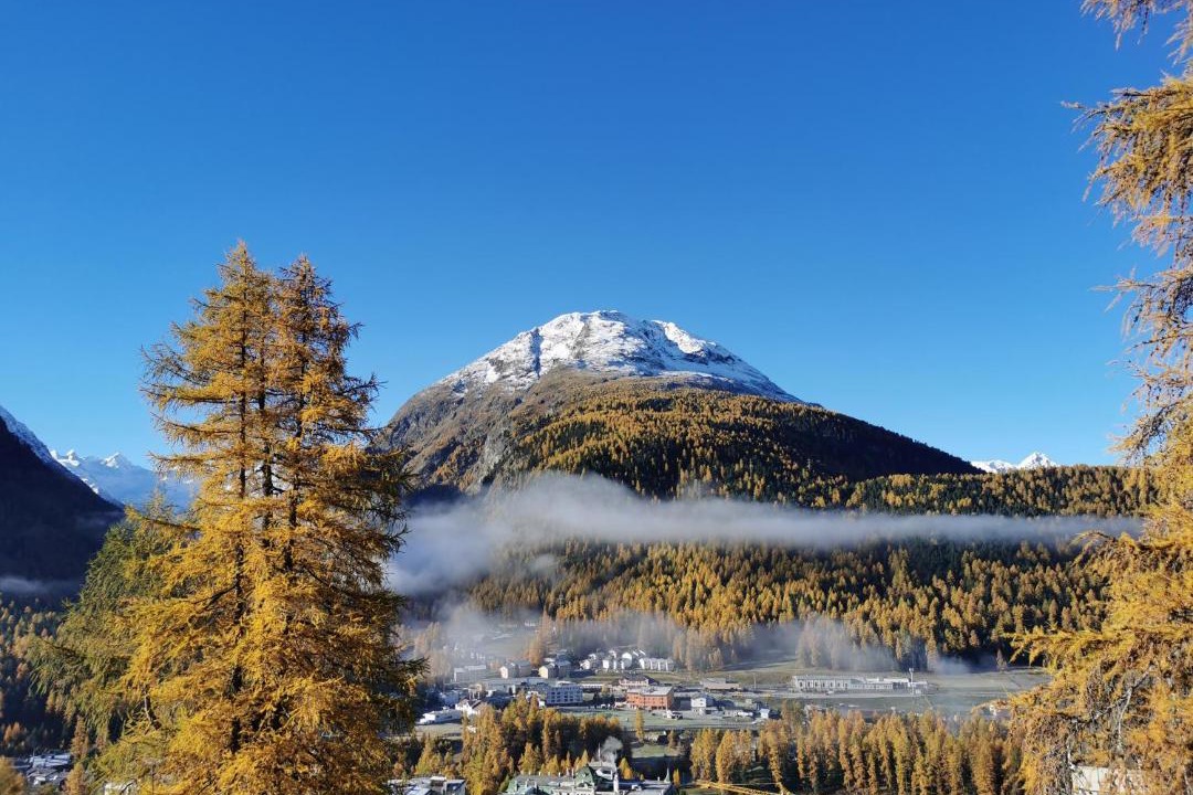 Photo of Others in Pontresina