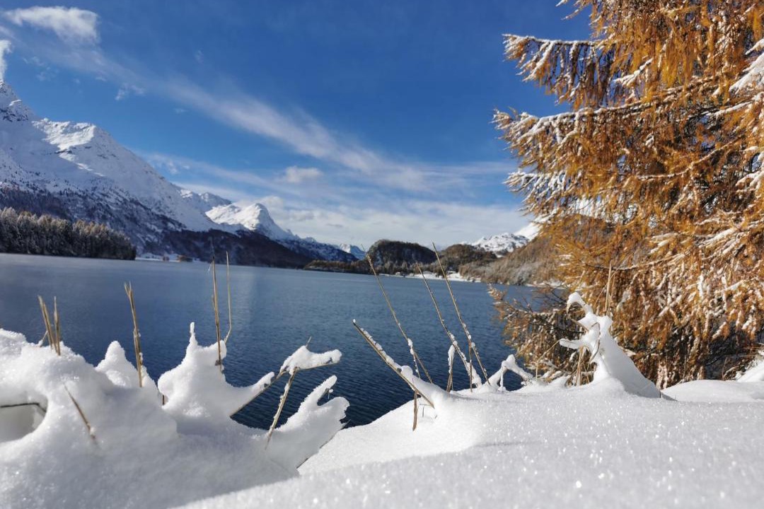 Photo of Others in Pontresina