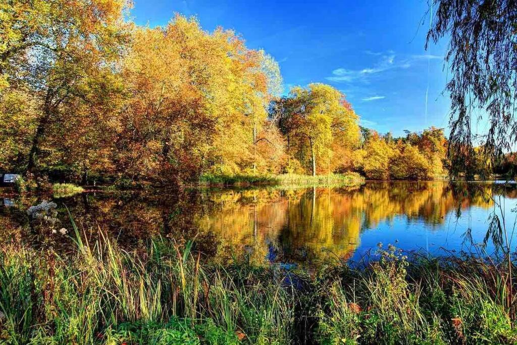 Photo of Outdoor in Centre Ville